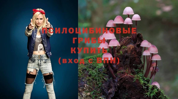 стафф Алзамай